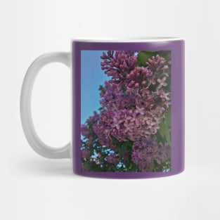 Blooming Purple Flowers Mug